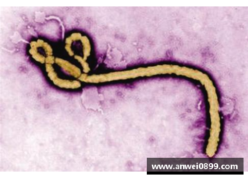 55世纪埃博拉病毒：全球威胁与科学团队的应对挑战